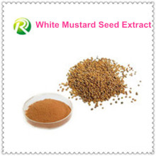 Heißer Verkauf 100% weißer Senf Samen Extrakt